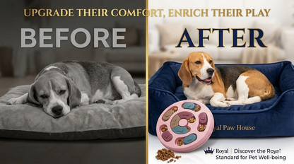 Interactive Dog Puzzle Feeder Toy