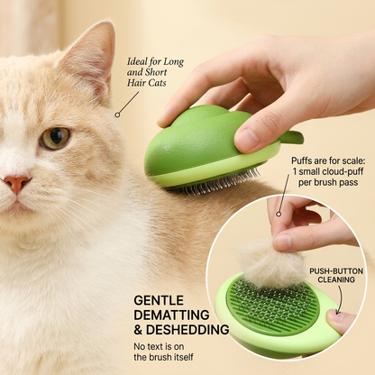 Cat Brush Hair Remover