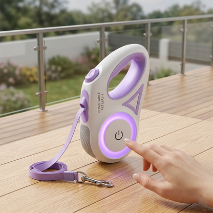 Dog Leash Retractable Leash And Dog Collar Spotlight