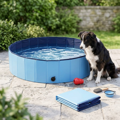 Pet Pool Dog Swimming Pool Foldable