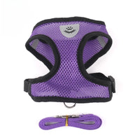 Pet Harness with Lead Leash Adjustable Vest